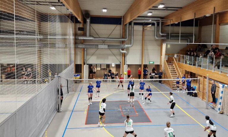 Seriekamper for damer 5. divisjon på Remmen 28. januar