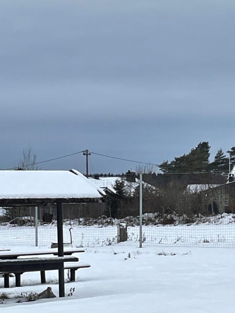 Ballfangernett bak sandvolleyballbanene i Rokke.