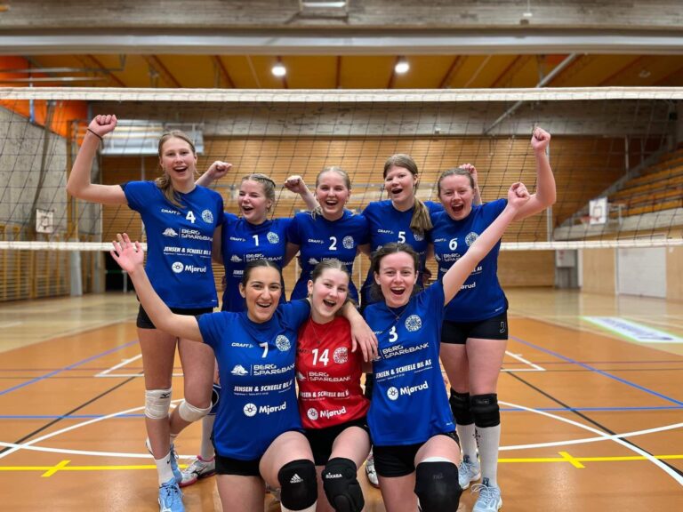 Storspill av damer 5. divisjon